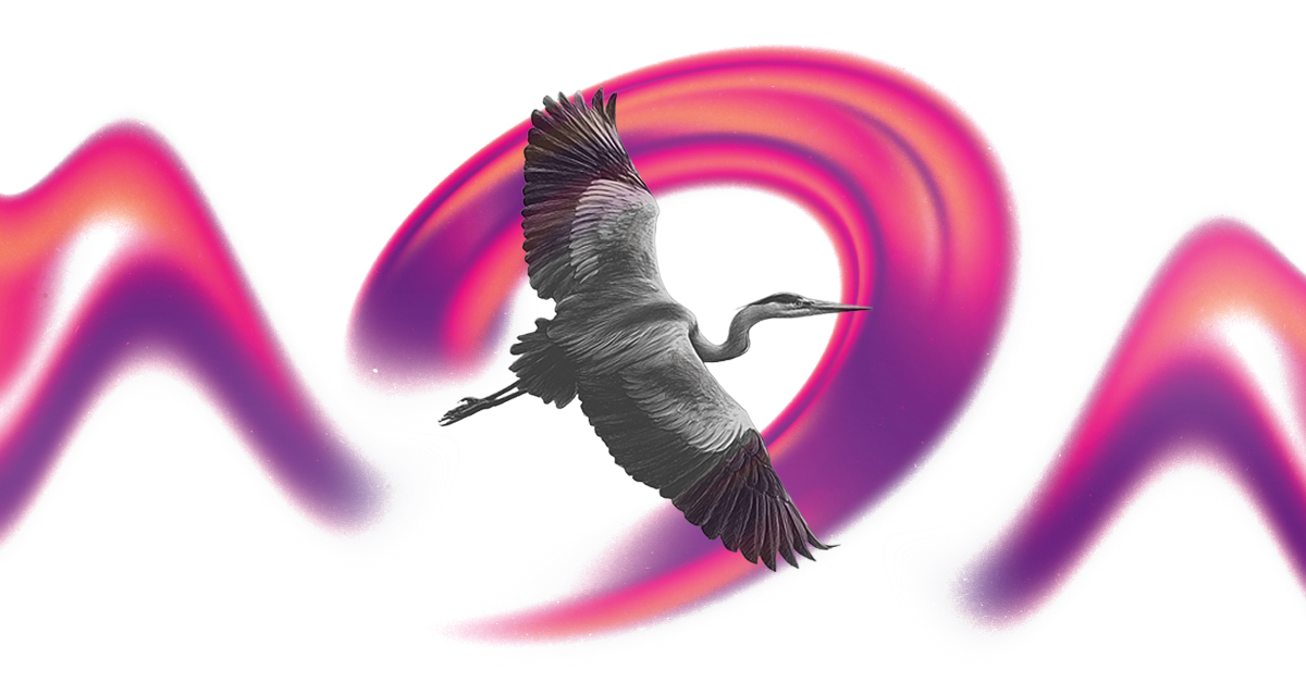 251010_NEST