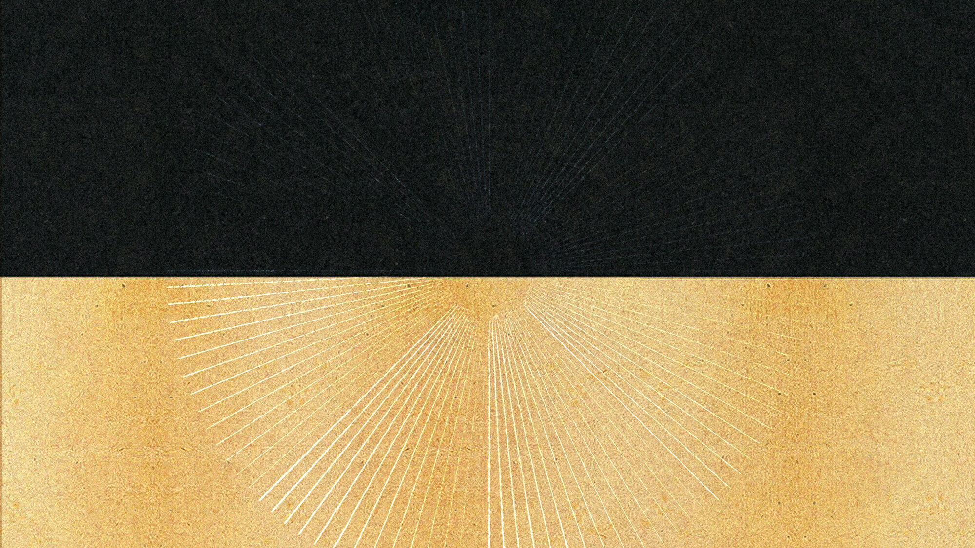 251024_Coexist