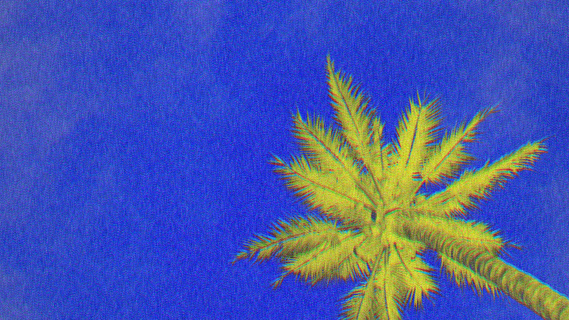 251004_DIFFRACTION