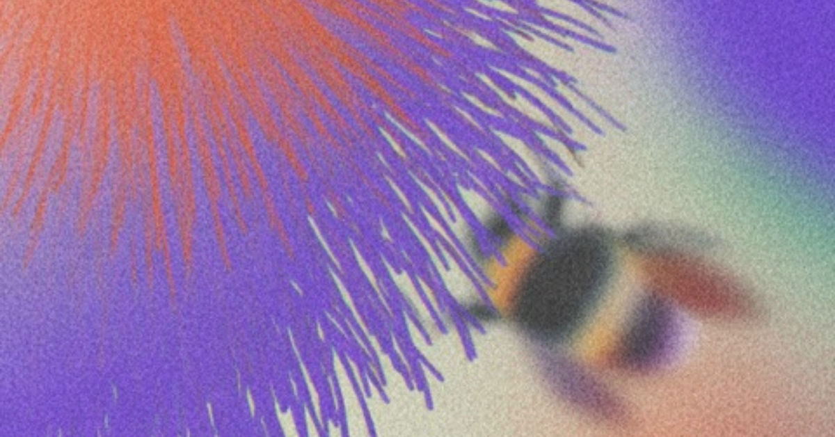 260425_Frühlingsfunkeln