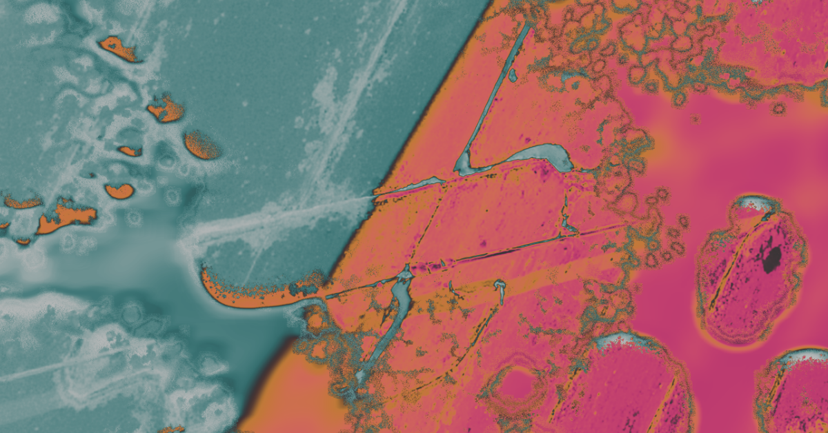 260603_PATRICK_MASON