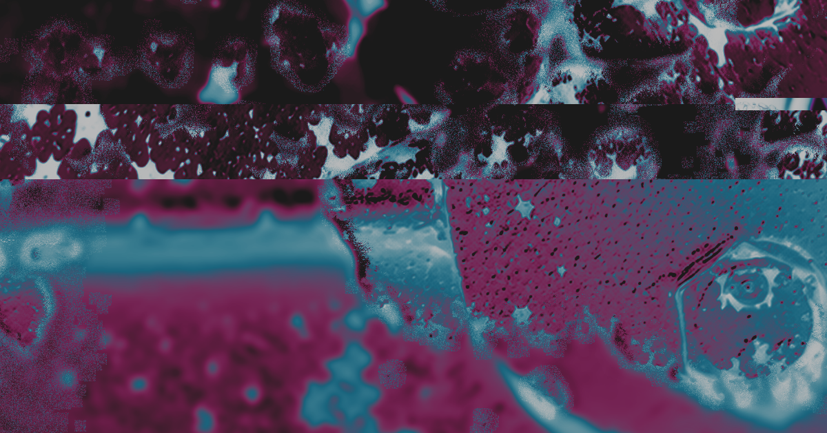 261017_in.between